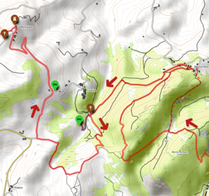 Bellisio Alto - Montaiate